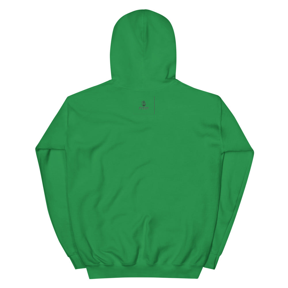 Unisex Hoodie - anchoredinchristapparel