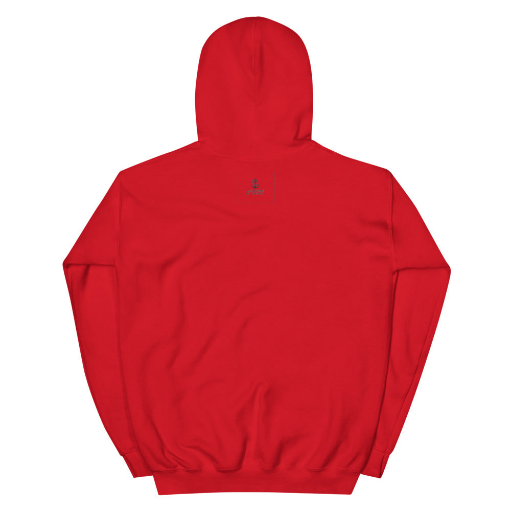 Unisex Hoodie - anchoredinchristapparel